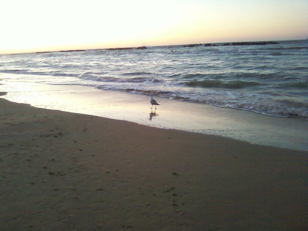 Photograph by ирина токарева