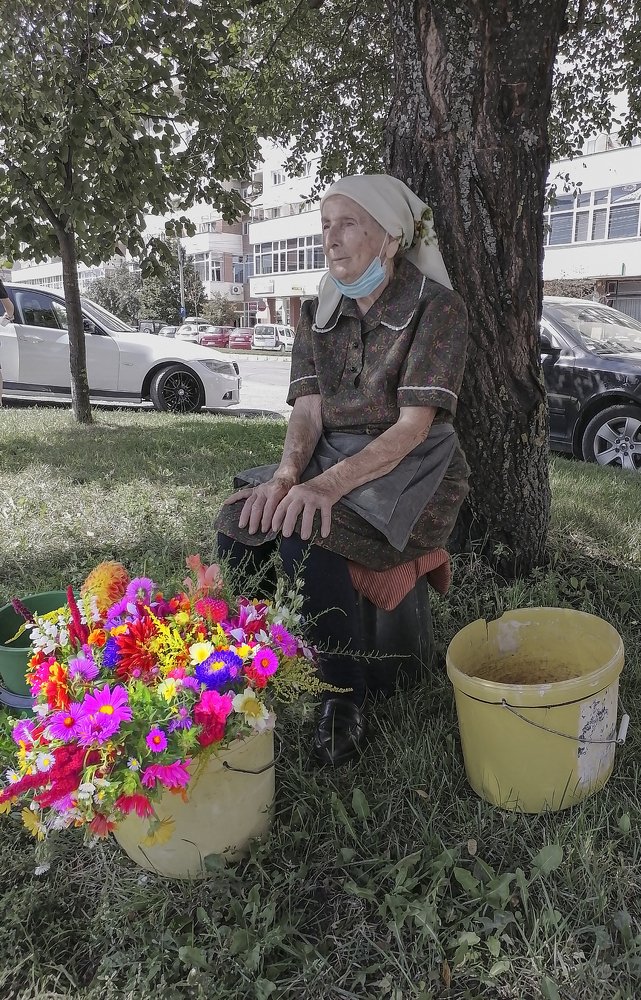 Florist 2