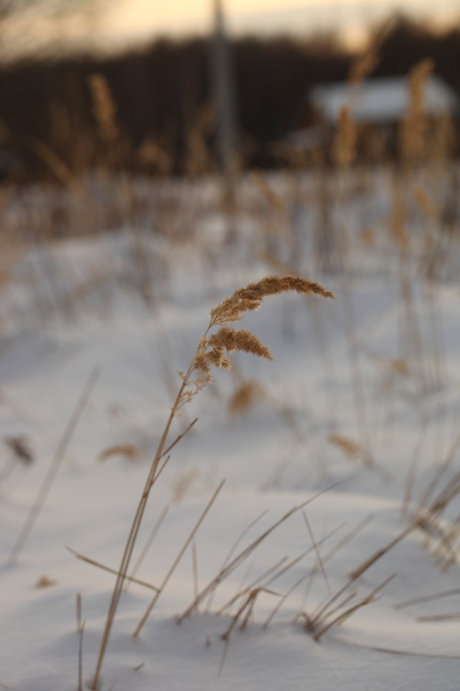 Photograph by Владимир Ясюкевич