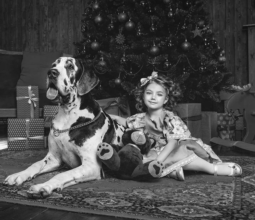 Photograph by Ольга Верхотурова