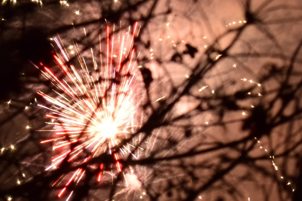 Ежик на небе