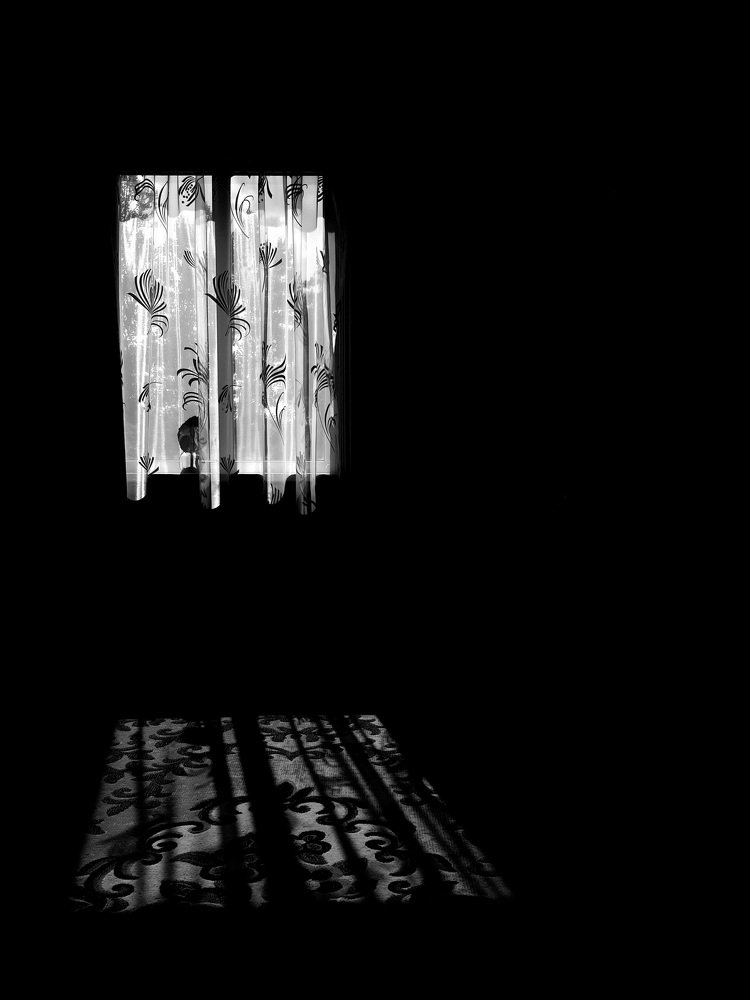 Photograph by Вадим Семенов