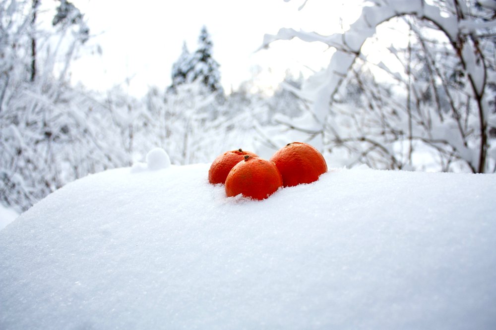 Photograph by Екатерина Боярина