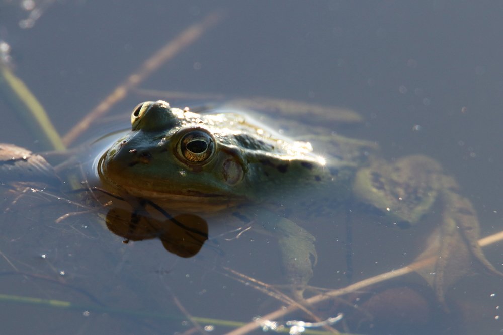 Photograph by Михаил Косяк