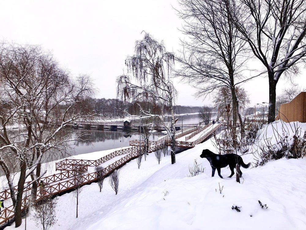 Переправа, берег правый