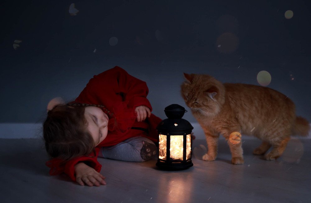 Фотография автора Юлия Трубанова