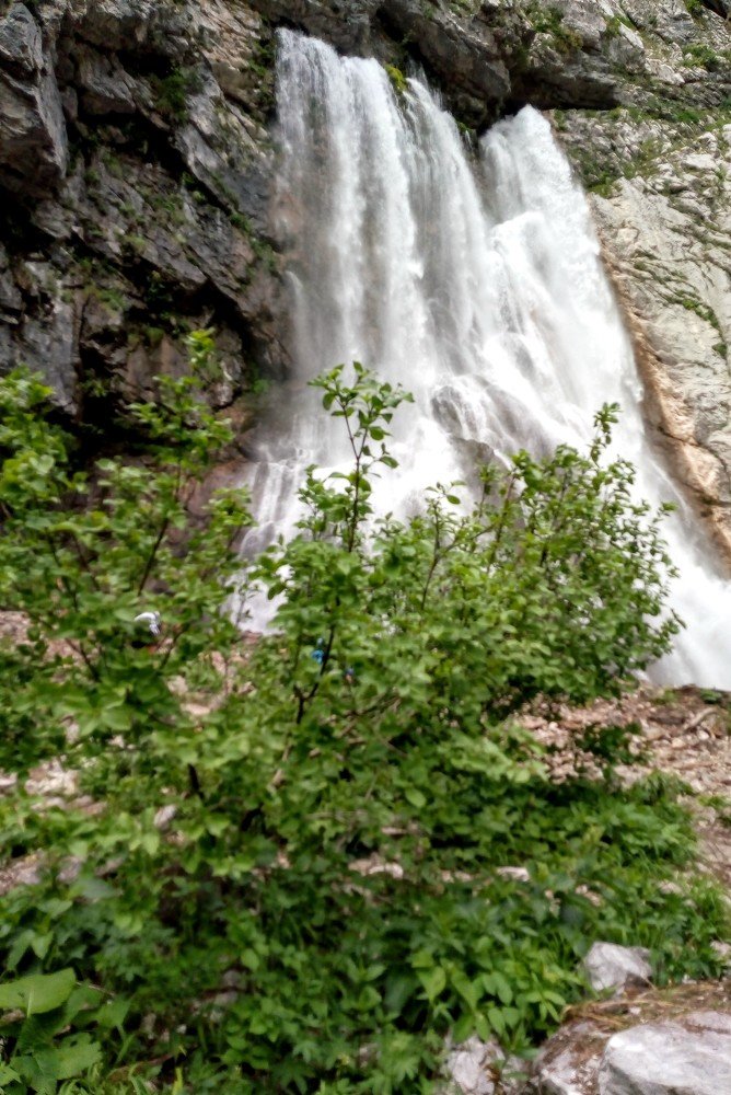 Photograph by Татьяна Пальчикова