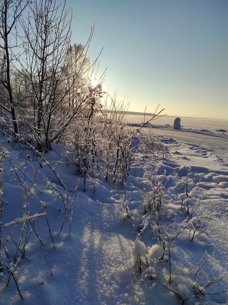 Фотография автора Марина Верина