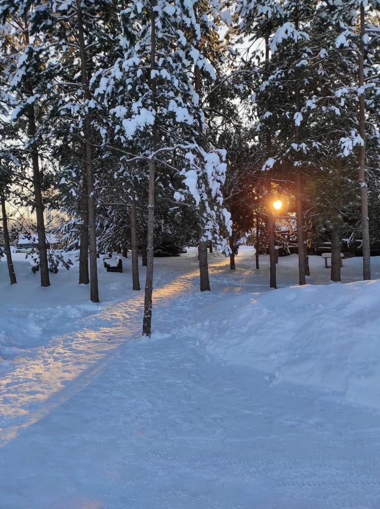 Фотография автора Марина Верина