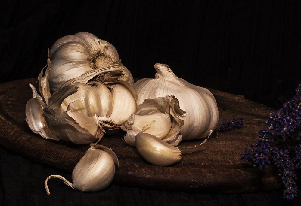 Photograph by Éva Toldi