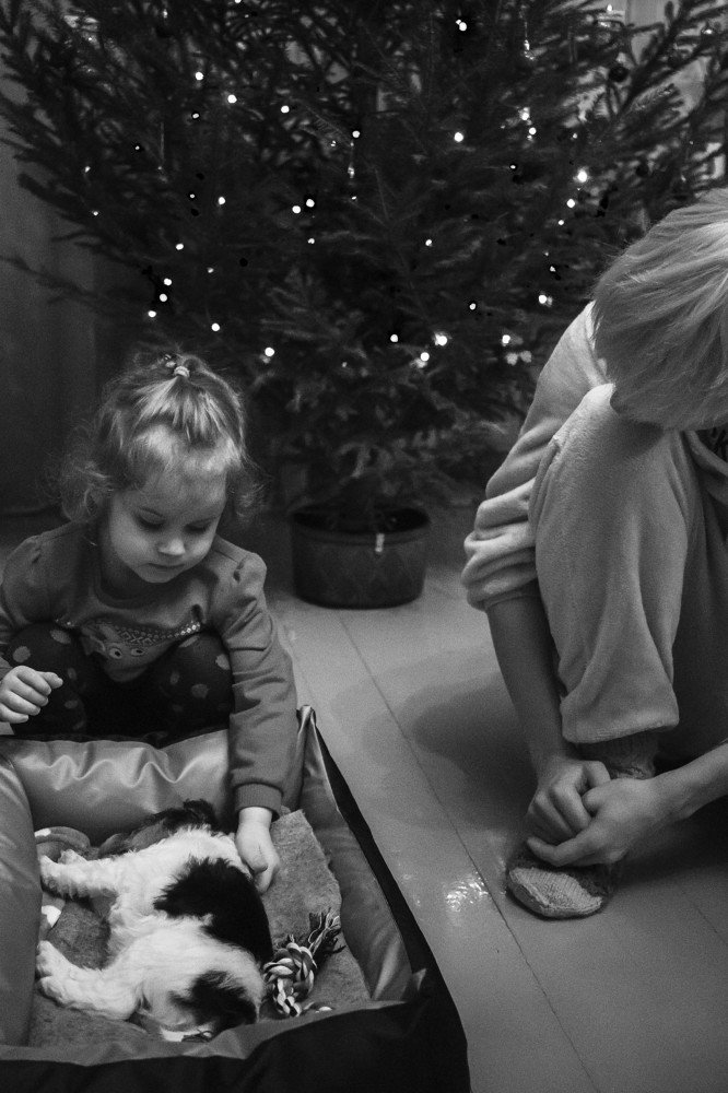 Photograph by Майя Чехова