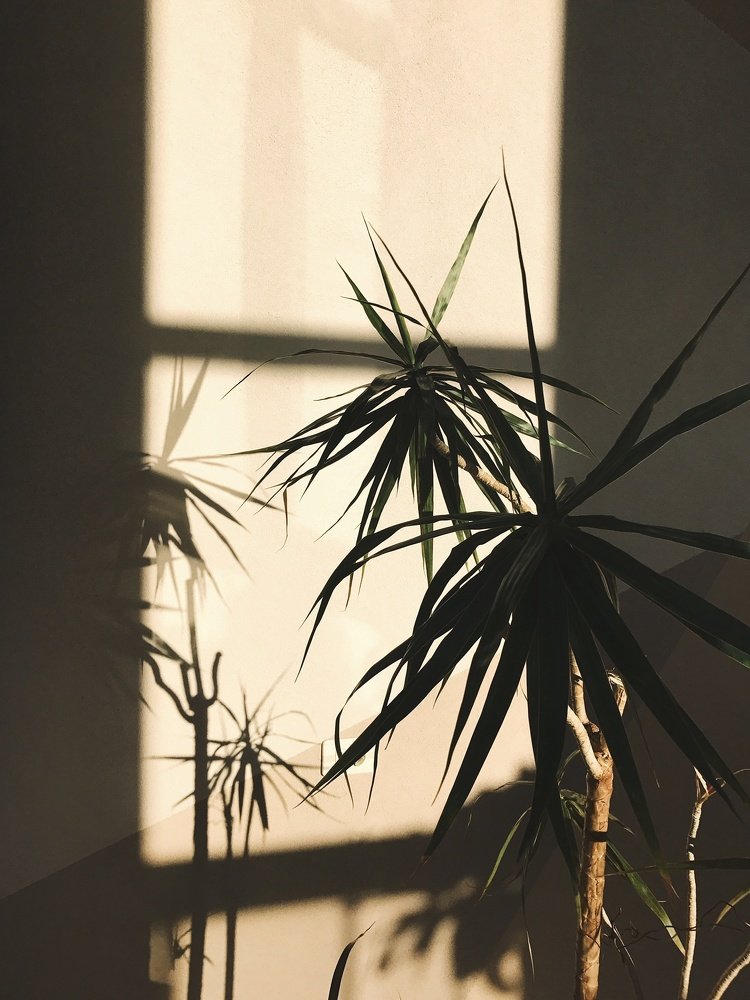 Photograph by Юлия Демидова