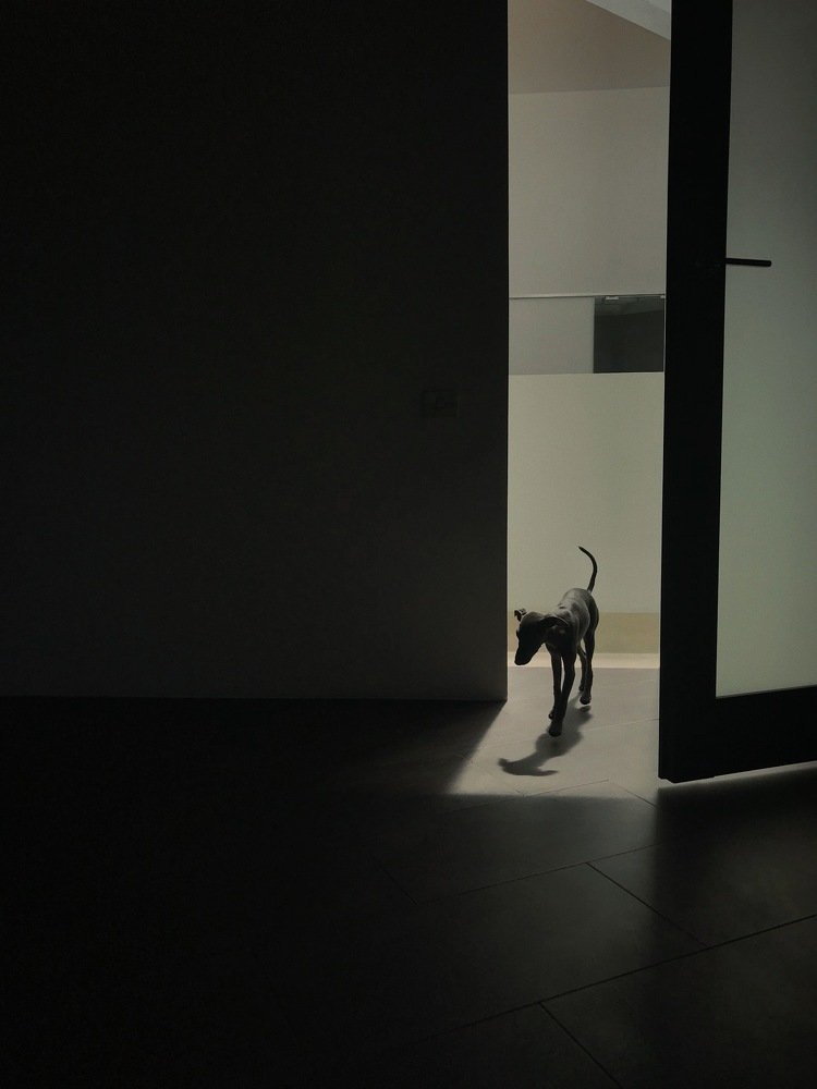 Photograph by Юлия Демидова