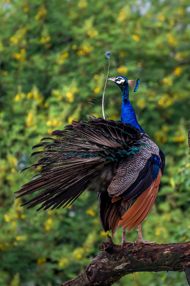 The Million Dollar Moment