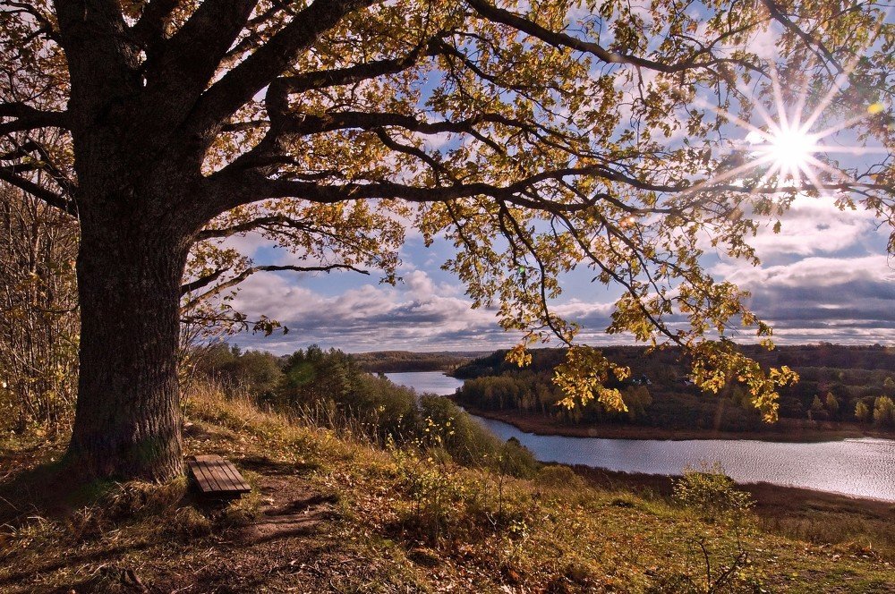 Photograph by Юрий Яковлев