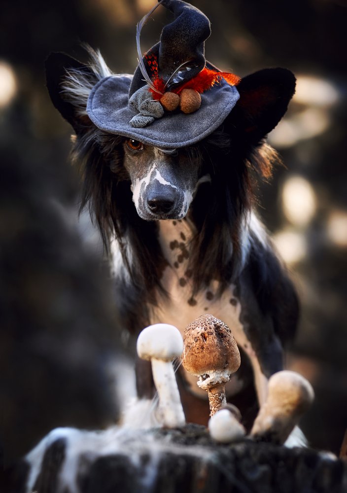 Фотография автора Дарина Матасова