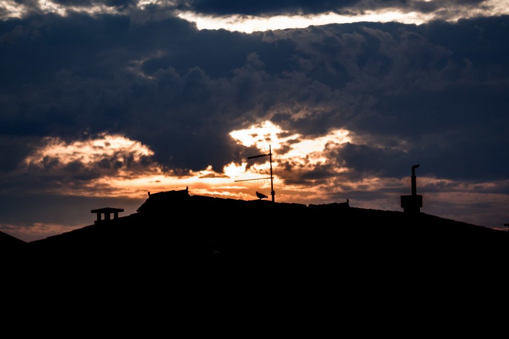 Photograph by Arina Solnceva