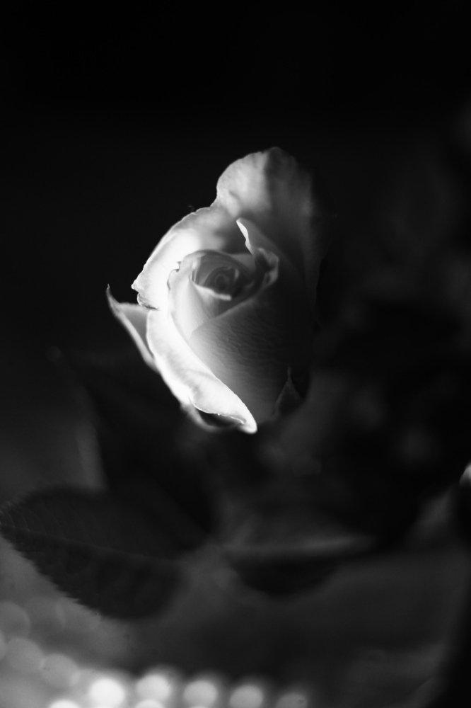 Photograph by Milla Luca