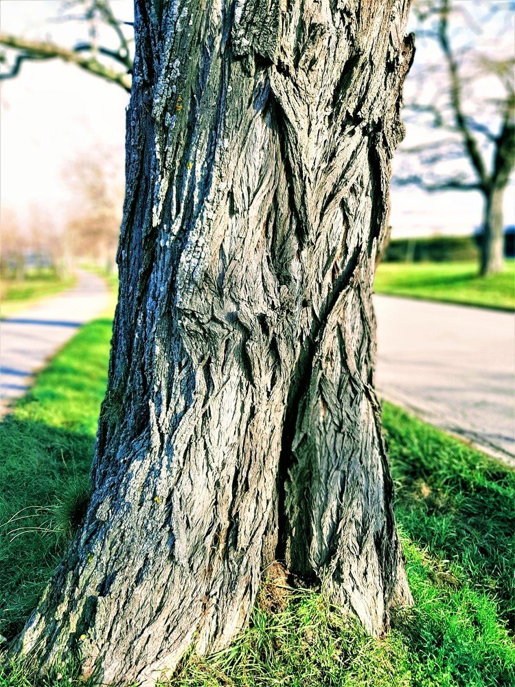 Photograph by Eszter Barak