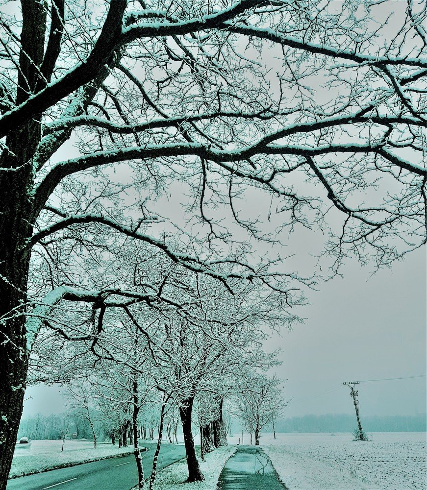 Photo #5512555