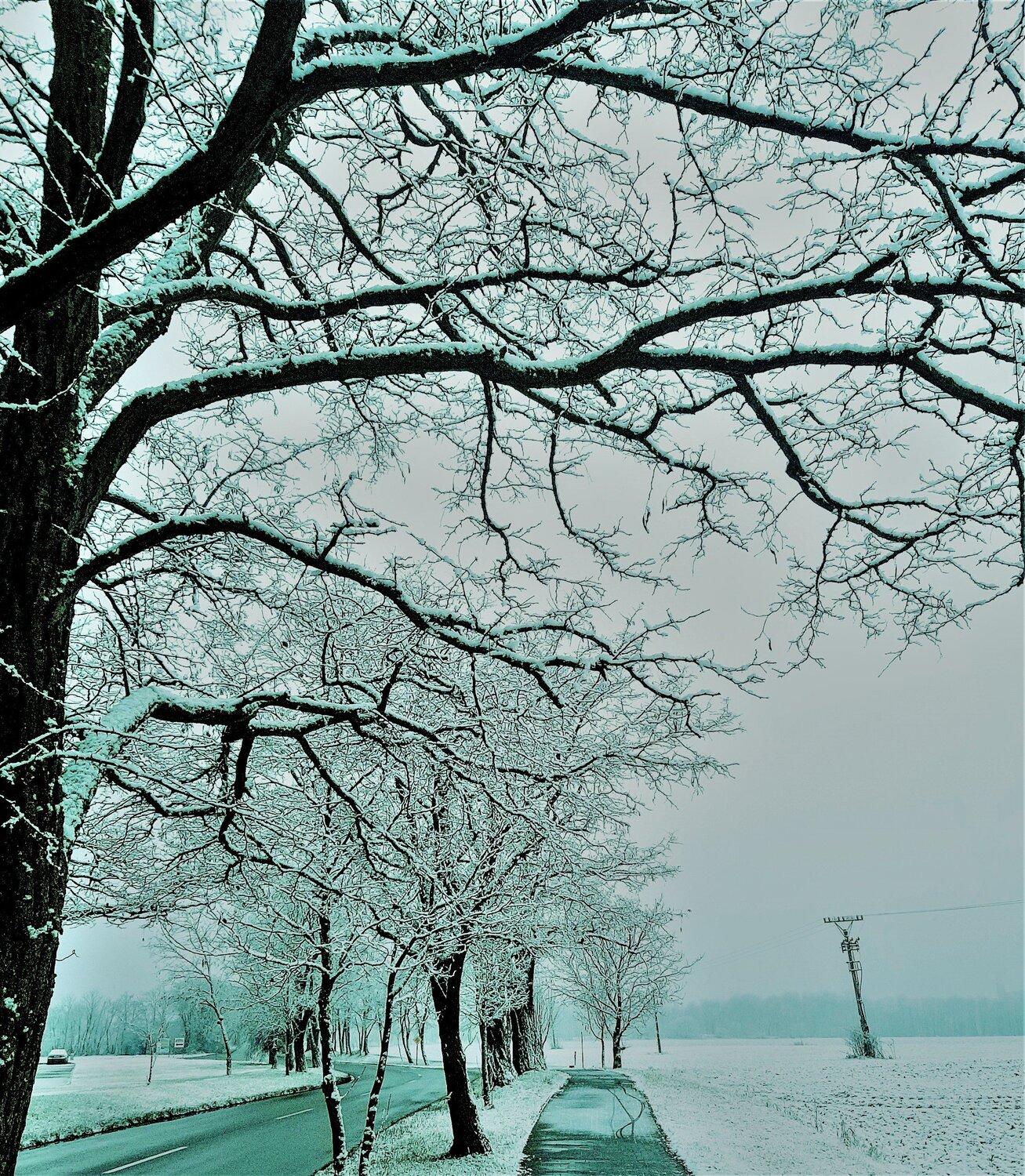 Photo #5512555
