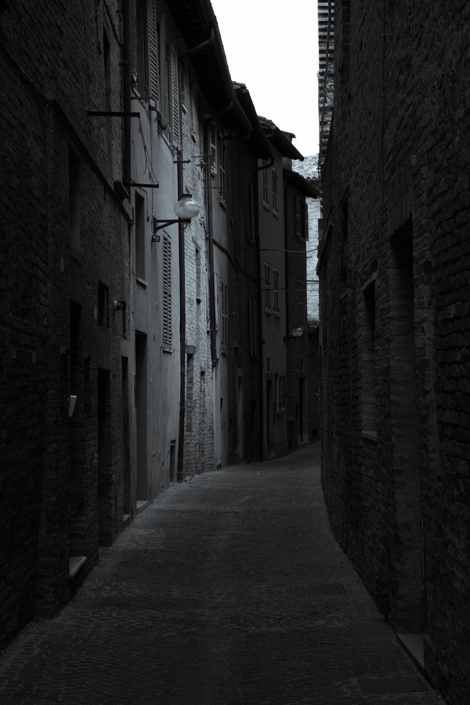 Photograph by Arina Solnceva