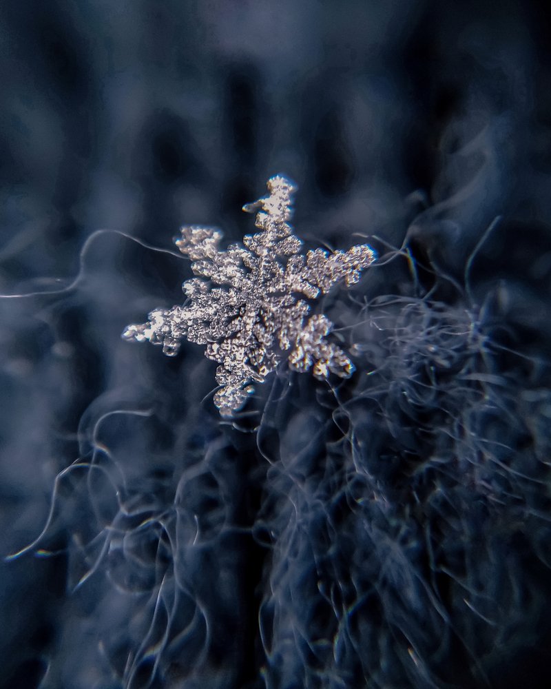 Photograph by Елена Новикова