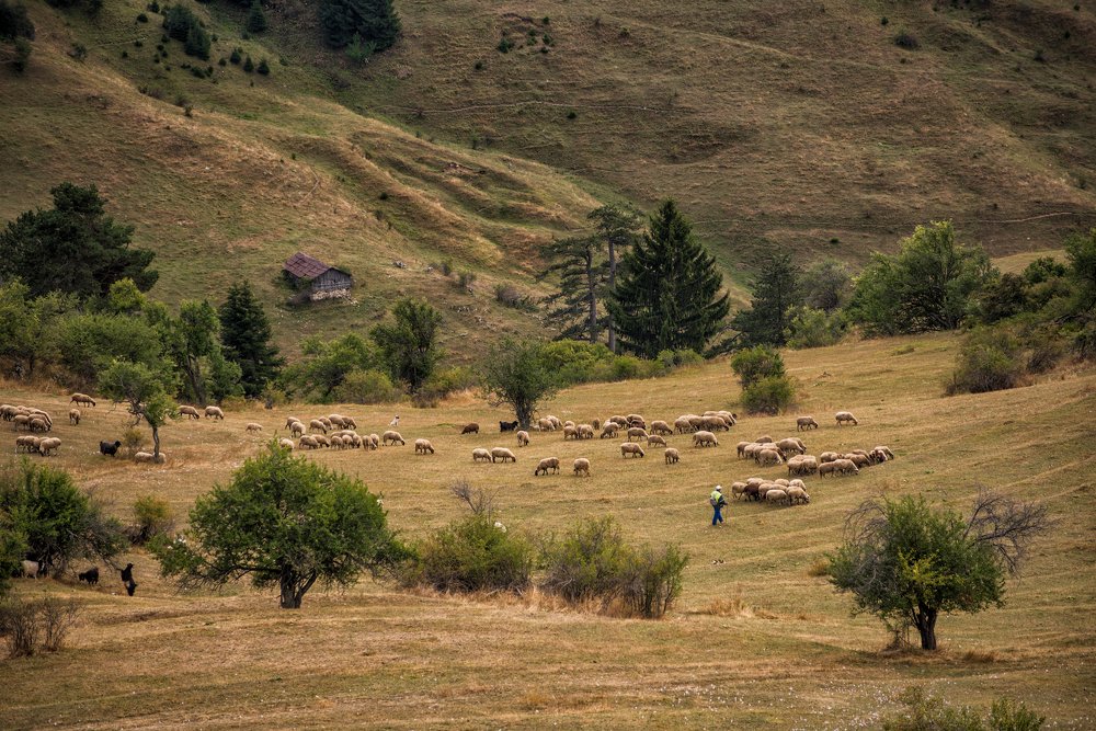 Photograph by Svetlana Milcheva