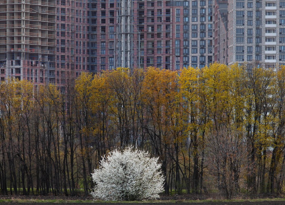 Urban landscape in Russia