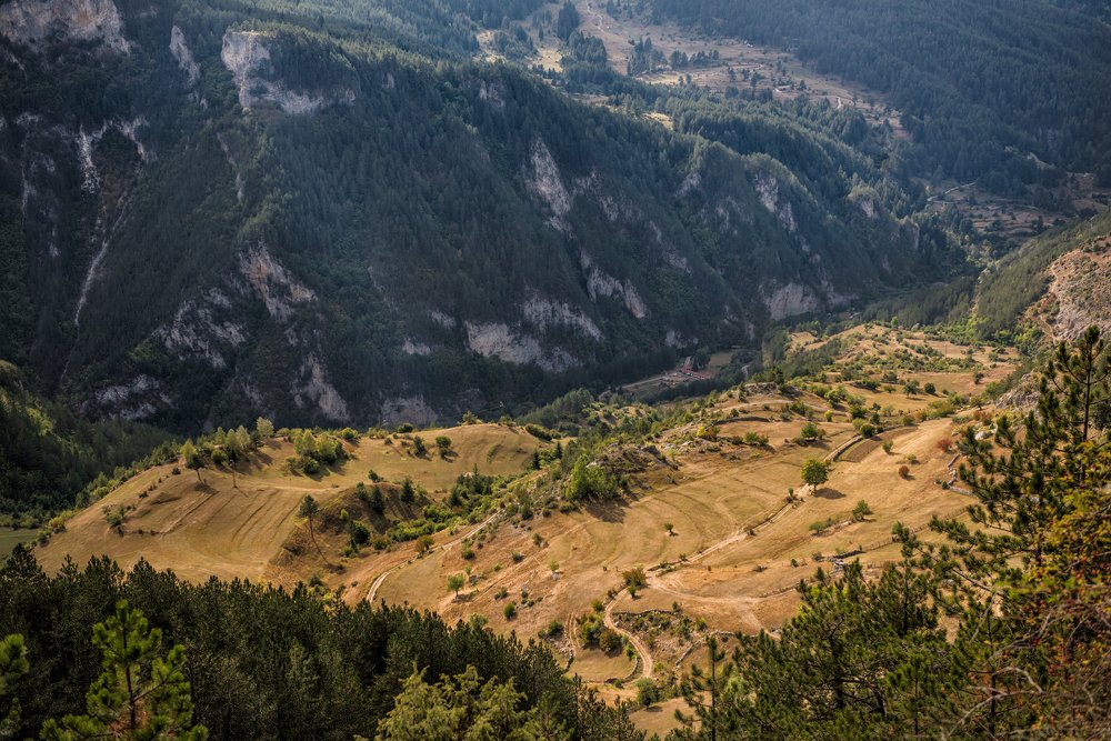 Photograph by Svetlana Milcheva