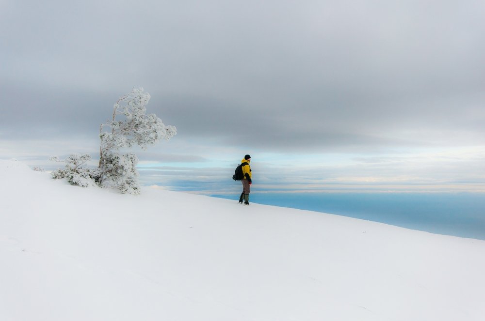 Photograph by Стас