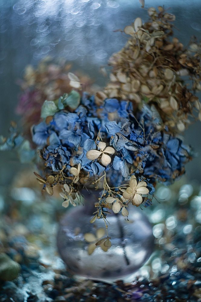 Photograph by Виктория Семернова