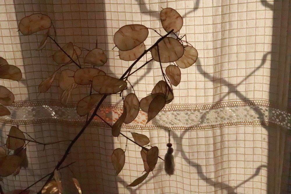 Photograph by Элина Купцова