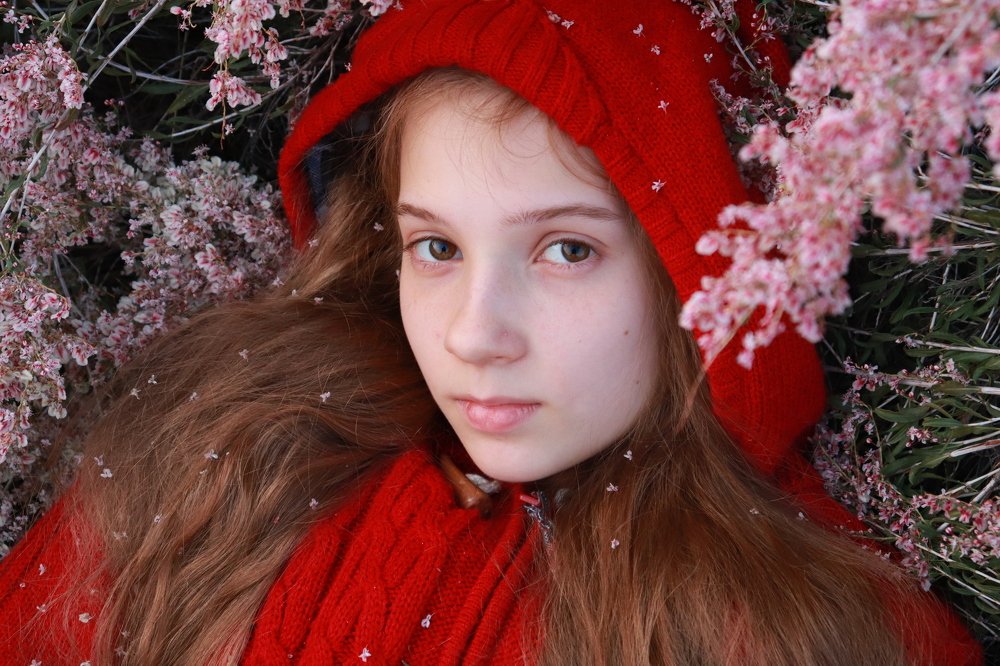 Photograph by Элина Купцова