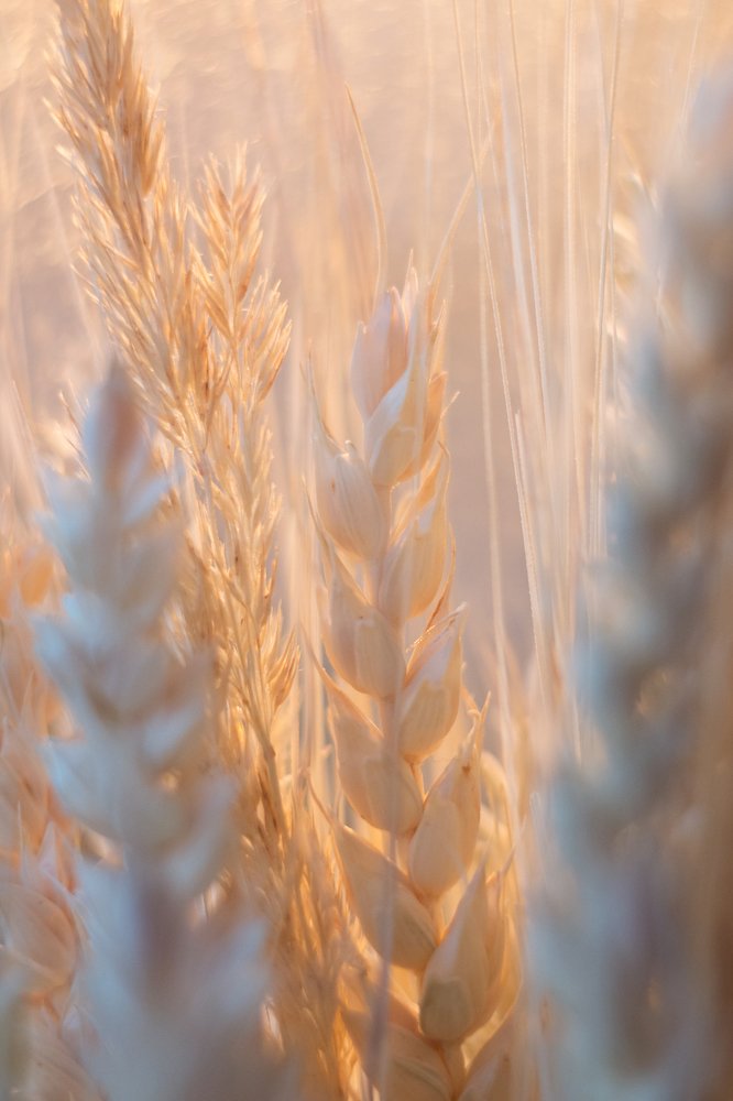 Photograph by Юлия Кузьмина