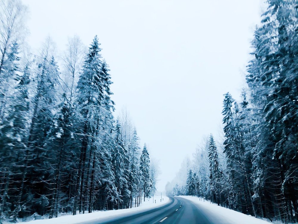 Photograph by Мардарь Татьяна