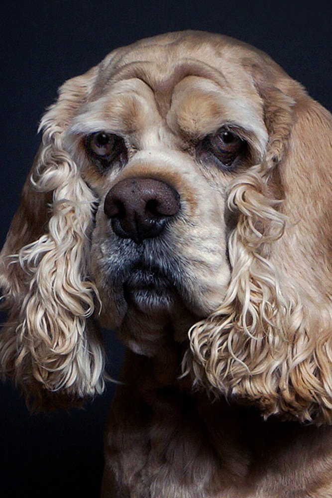 Photograph by Олег Машковский