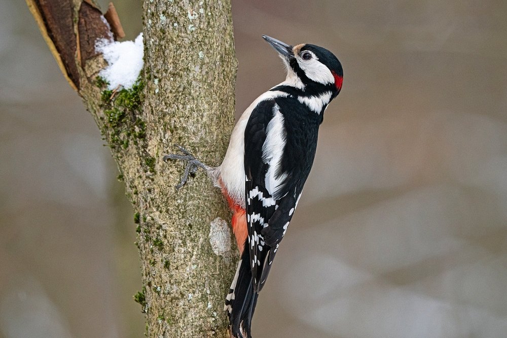 Photograph by Viktor Makarov