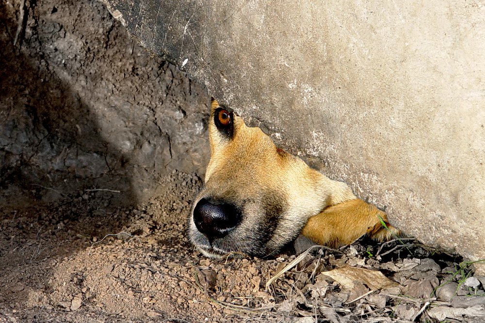 Photograph by Олег Машковский