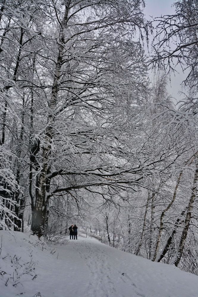 Зима на Воробьёвых горах.