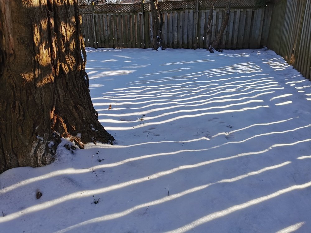 Photo #5513299