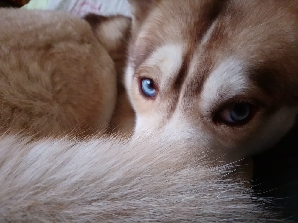 Photograph by Giorgi Shubitidze