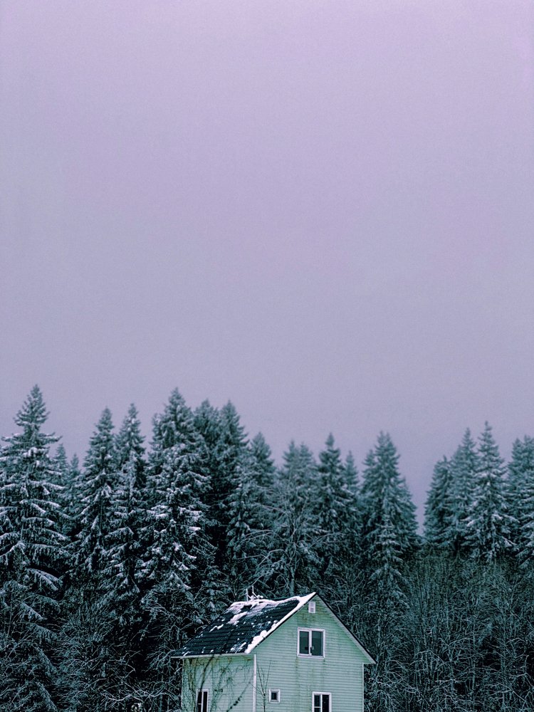 Фотография автора Дима Бурза