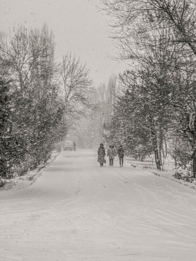 Photograph by Дмитрий Темпус