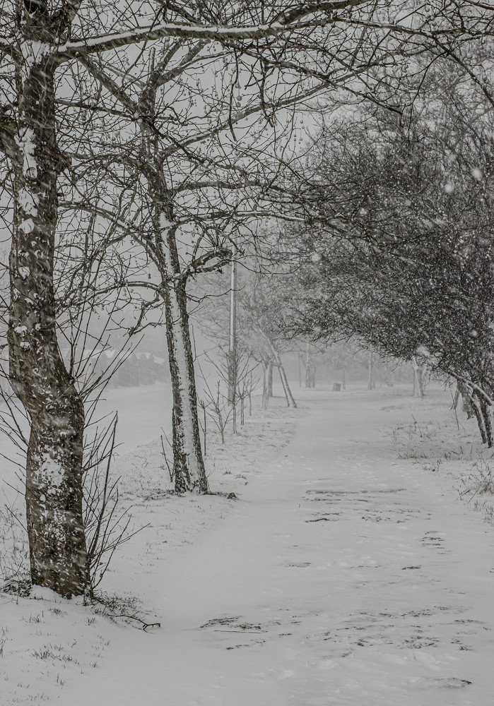 Photograph by Дмитрий Темпус