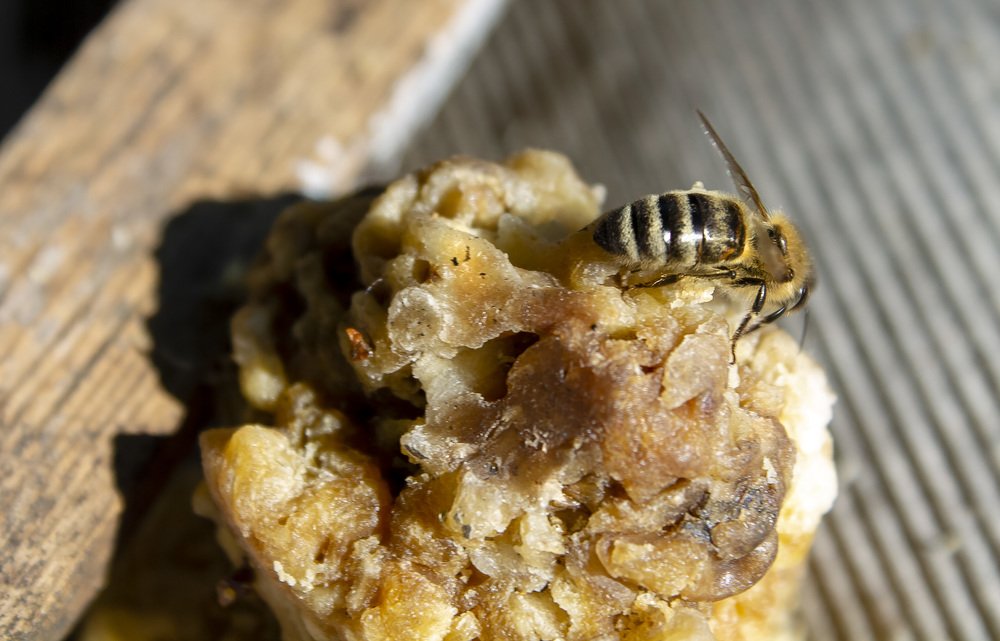 Photograph by Семенюк Анна