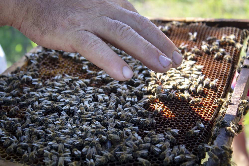 Photograph by Семенюк Анна