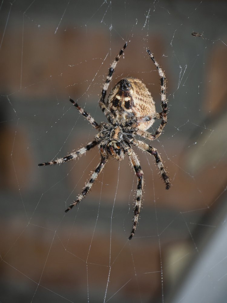 Фотография автора Александр Кротков