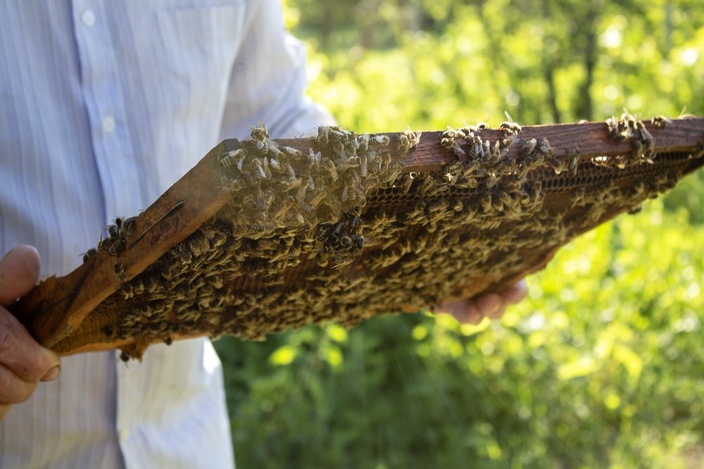 Photograph by Семенюк Анна