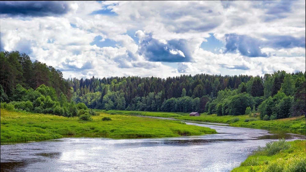 Photograph by Владимир Суходолов